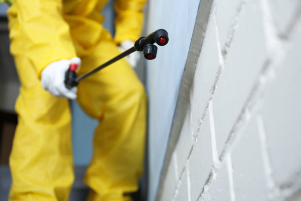 Pest Control for Hotels in Dunlap, IL